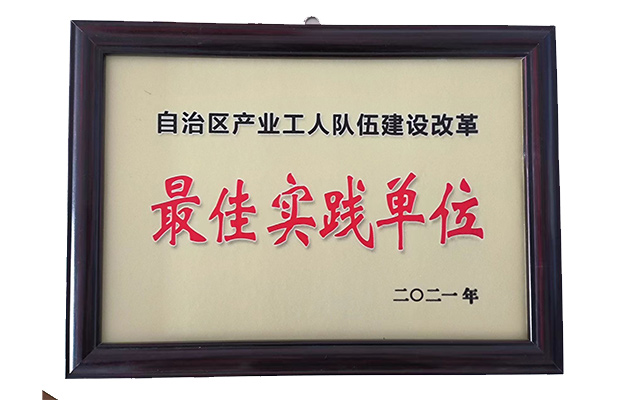 2021年4月獲“自治區(qū)產(chǎn)業(yè)工人隊伍建設改革最佳實踐單位”